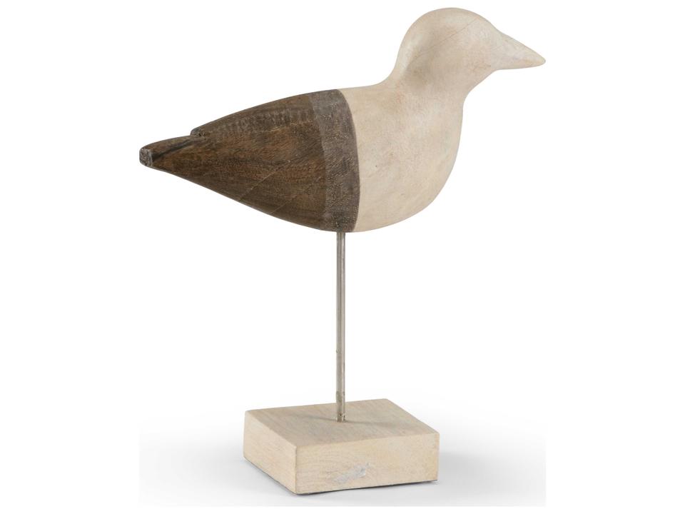 Shorebird