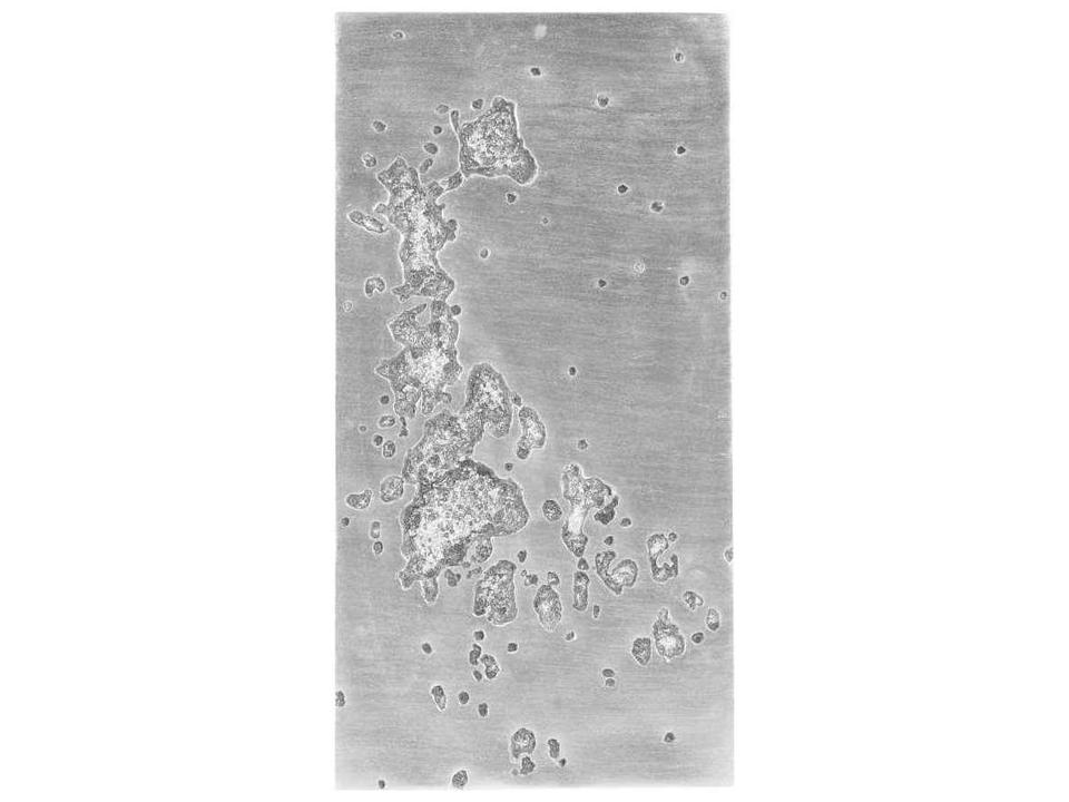 Splotch Rectangular Silver Leaf Wall Art