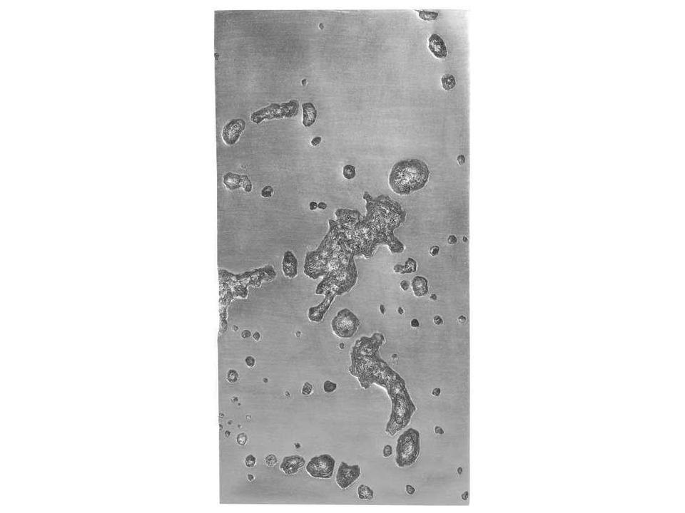 Splotch Rectangular Wall Art in Silver Leaf