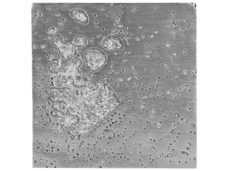 Splotch Square Wall Art in Silver Leaf