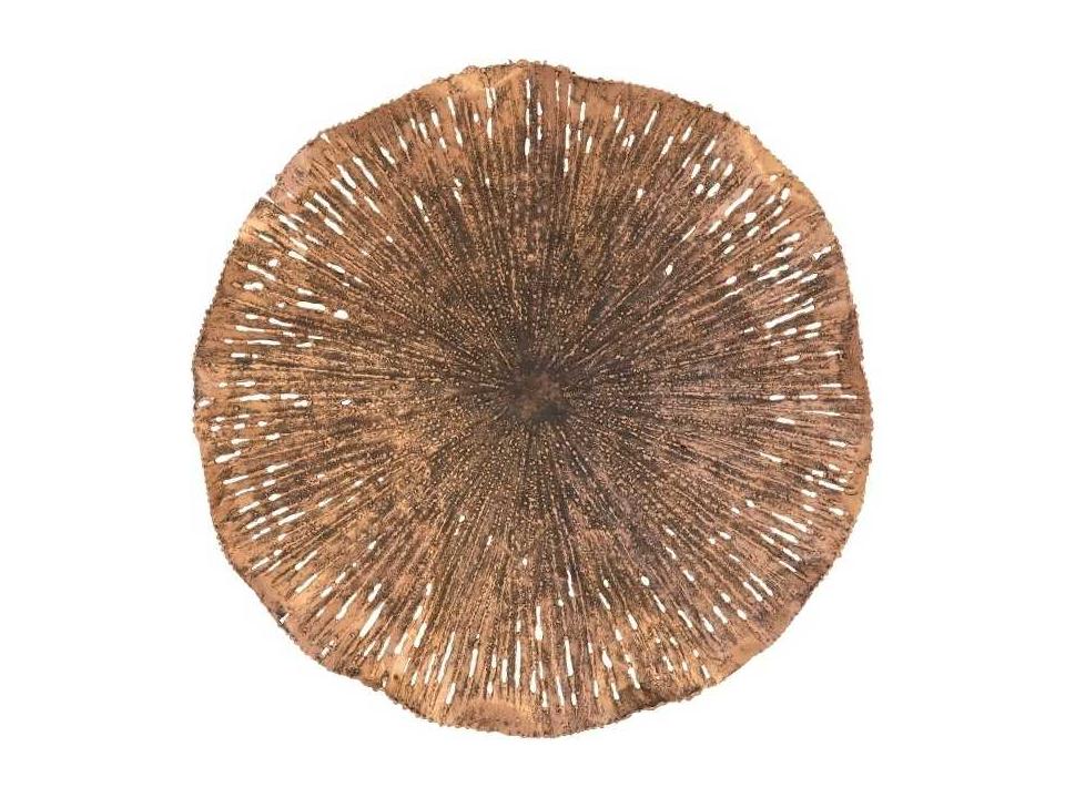 Lotus Metal Wall Art in Copper and Black Finish