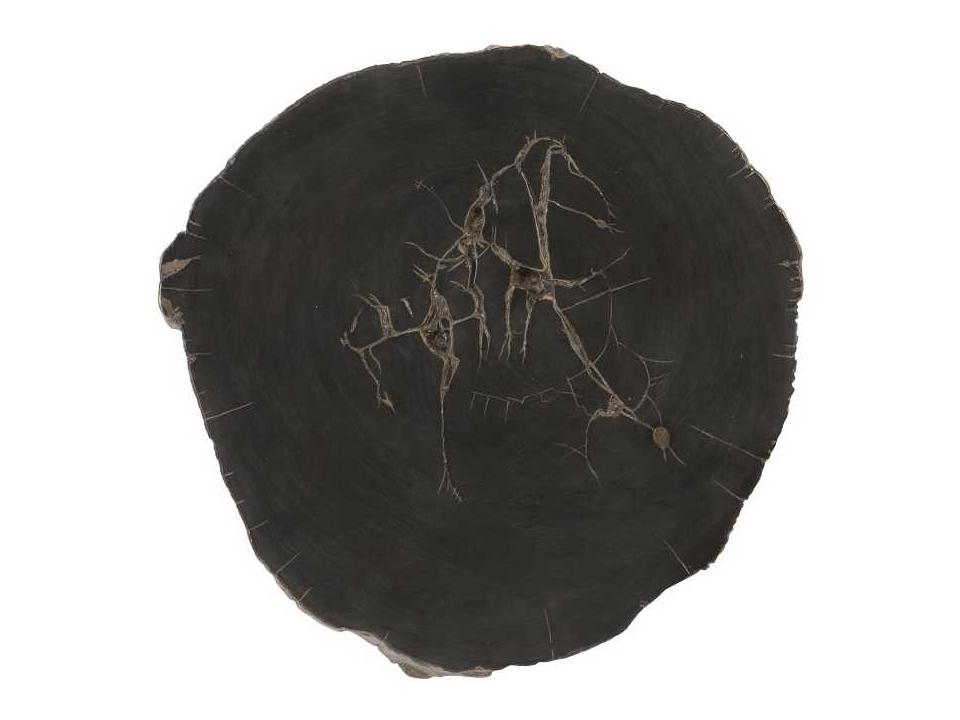 Cast Naturals Petrified Wood Wall Tile in Black and Brown