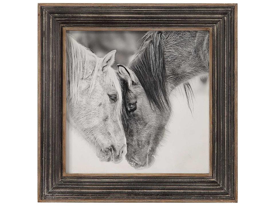 Custom Black and White Horses Framed Print by Ph Burchett
